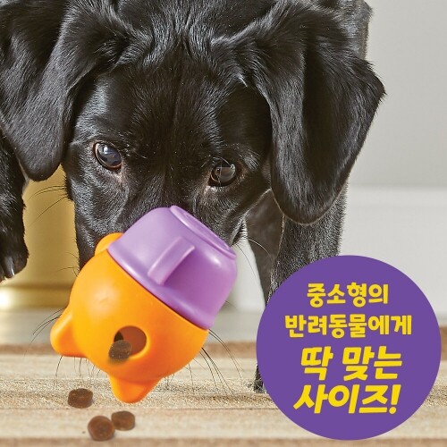 펫도매,[브라이트킨즈] LER9398 노즈워크볼 고양이티컵 스몰