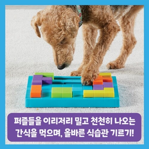 펫도매,[브라이트킨즈] LER9392 노즈워크 장난감 퍼즐놀이
