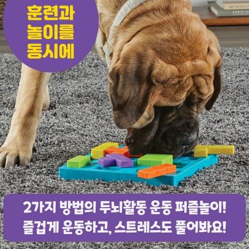 펫도매,[브라이트킨즈] LER9392 노즈워크 장난감 퍼즐놀이
