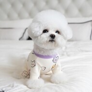 【매장】도그웨그 큐티 캣 올인원 실내복 강아지 고양이 티셔츠 올인원 의류