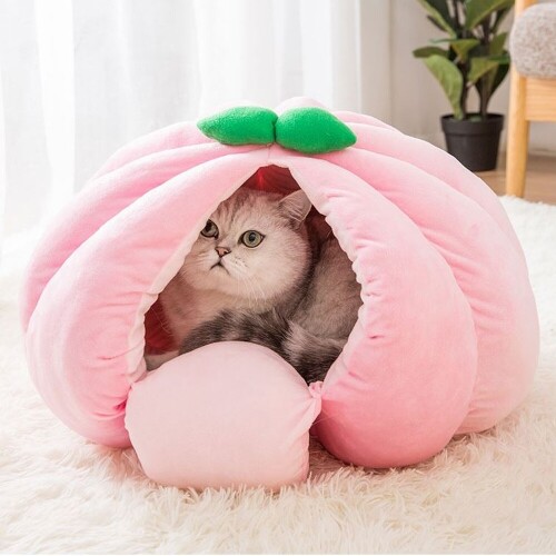 펫도매,【매장】도그웨그 고양이 과일 숨숨집 3종