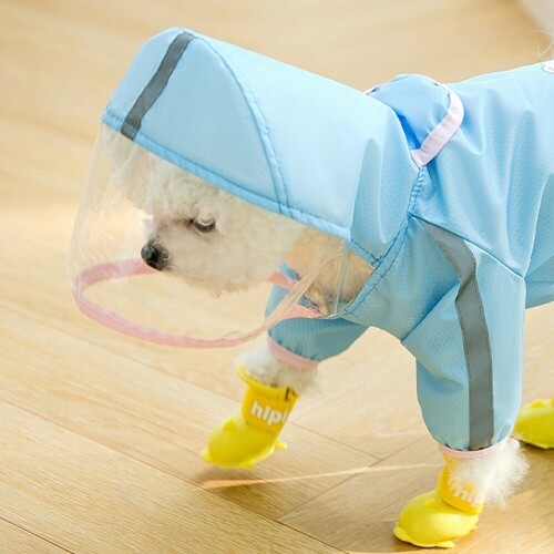 펫도매,【매장】철벽 올인원 우비 강아지 레인코트 장마 산책