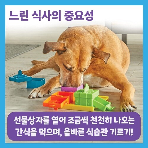 펫도매,[브라이트킨즈] LER9366 노즈워크 장난감 선물상자