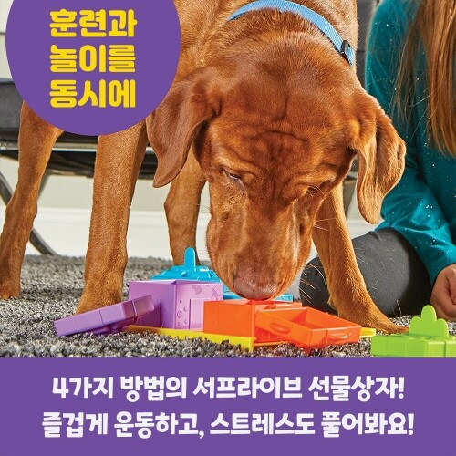 펫도매,[브라이트킨즈] LER9366 노즈워크 장난감 선물상자