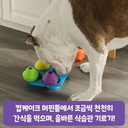 펫도매,[브라이트킨즈] LER9365 노즈워크 장난감 컵케이크파티