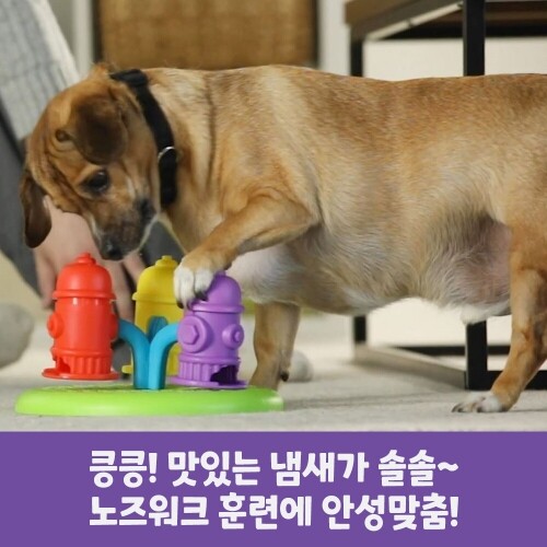 펫도매,[브라이트킨즈] LER9367 노즈워크 장난감 스피닝 퍼즐
