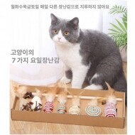 고양이 요일 장난감