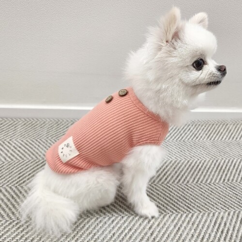 펫도매,펫츠랜드 모모 골지 티셔츠 아이보리 S-2XL