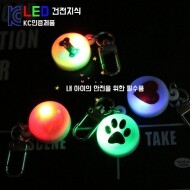 (KC인증) 코코아허니 강아지야간산책필수품 베이직건전지식&충전식LED(건전지식)